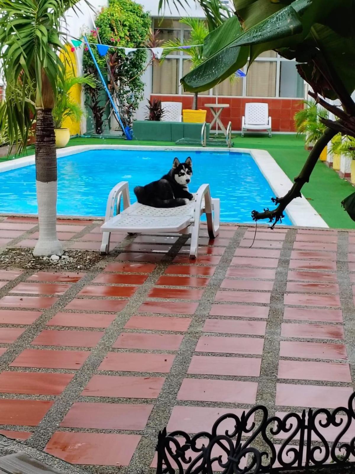 The Chill In Mansion Hostel Santa Marta מראה חיצוני תמונה